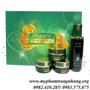 bo-kem-nam-hoa-cuc-chinh-hang