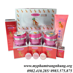 bo-tri-nam-ginseng