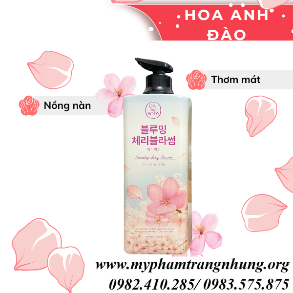 sua-tam-on-huong-anh-dao