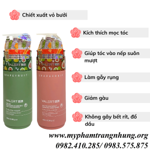 grapefruit-tr-rung-toc