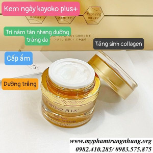 bo-kayoko-tri-nam-nhat-ban