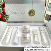 kayoko-plus-377-tri-nam