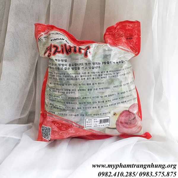 nam-linh-chi-thai-lat-ngan-ngua-ung-thu