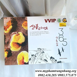 nam-linh-chi-365-han-quoc