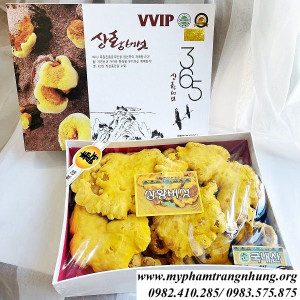 nam-linh-chi-thuong-hoang-han-quoc-365