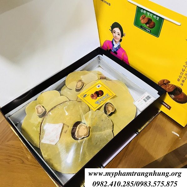 Nam-linh-chi-cao-cap-han-quoc