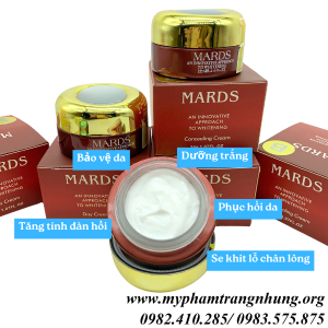 kem-ngay-mards-tri-nam