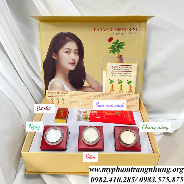 bo-kem-nam-panax-ginseng