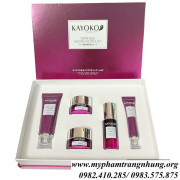 bo-kayoko-tim-nhat-ban